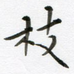 枝