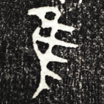 隹