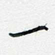 一