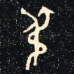 尗
