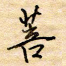 菩