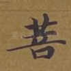 菩