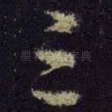 三