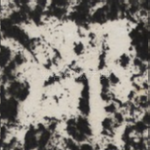 郡