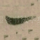 一