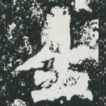 生