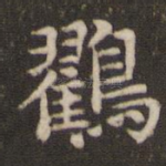 鸐