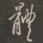 体