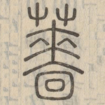 蔷