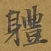 体