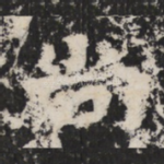 尚