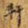 轩