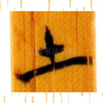土