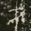 才