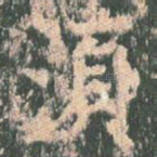 须