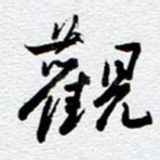 观