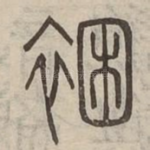 裍