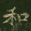 和