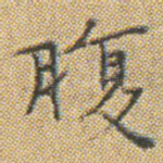 腹