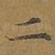 二