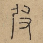 皮