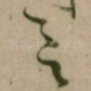 言