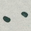 八