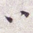 八
