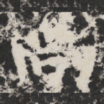 尚