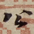 公