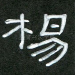 杨