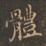 体