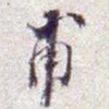 甫