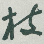 枝