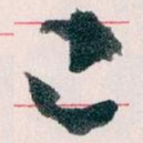 已