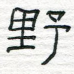 野