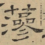 藻