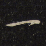 一