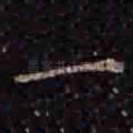 一