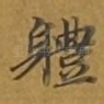 体