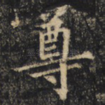 尊