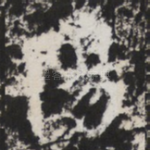 陽