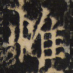 惟