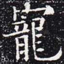 宠