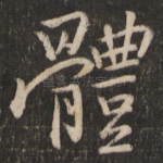 体