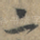 二