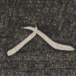 入