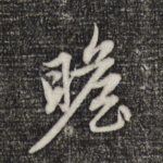 瞻