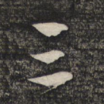三