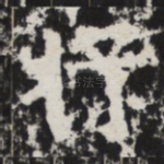 将